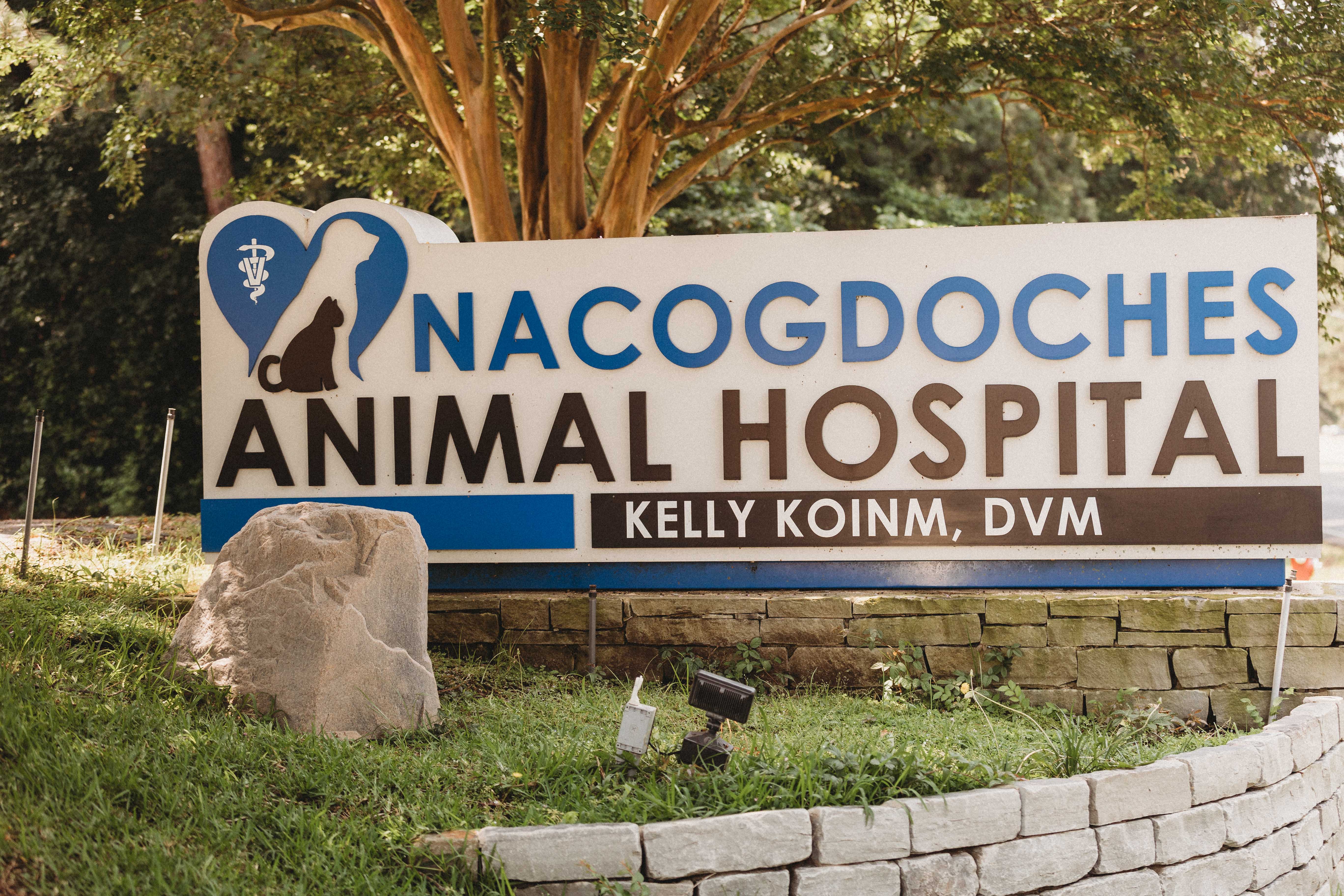 Nacogdoches, Texas Nacogdoches Animal Hospital
