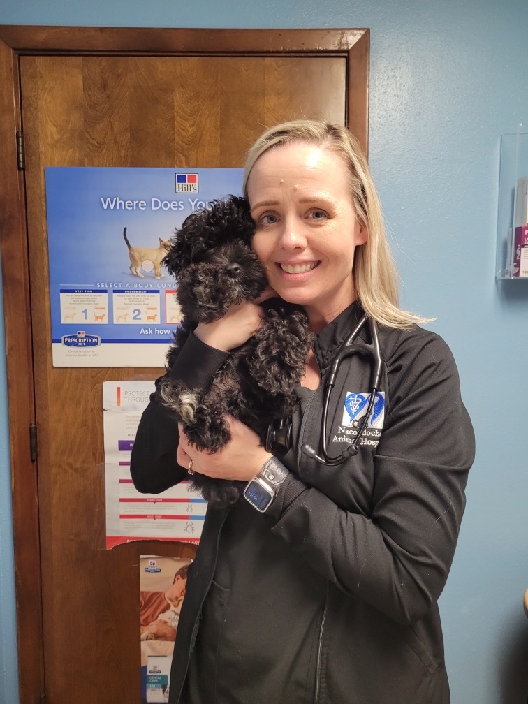 Nacogdoches, Texas Nacogdoches Animal Hospital